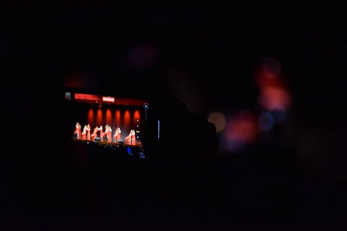 Liberation Dance Show by Zirka